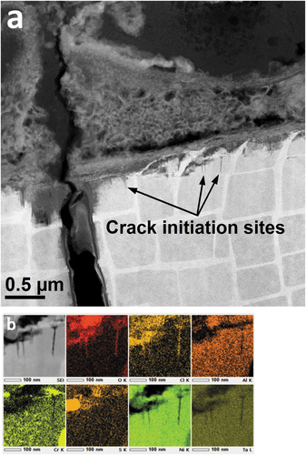 Figure 3. (a) HAADF-STEM image showing a primary crack, several crack embryos and a voluminous surface corrosion product, and (b) EDS maps of a γʹ precipitate, including surface corrosion and crack embryos.