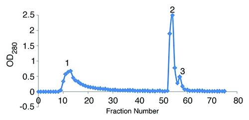Figure 2. Ion-exchange chromatography of 25% ammonium sulfate precipitate on DEAE-Sepharose CL-6B column with phosphate buffer.