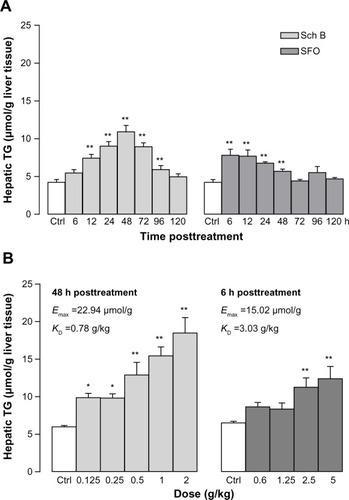 Figure 5 Time- and dose-response relationship of Sch B- and SFO-induced changes in hepatic TG level.