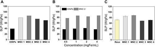 Figure 4 Heating efficiency of IONPs and MNCs. Heating efficiency was demonstrated as SLP values per gFe. (A) SLP values of IONPs and various MNCs at 1 mgFe/mL concentration in 1-octanol. (B) SLP values of IONPs and MNC2 at different concentrations in 1-octanol. (C) SLP of MNCs and Resovist® at 4 mgFe/mL concentration in aqueous solution.