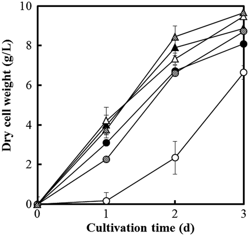 Fig. 7. Dry cell weight of A. niger WU-2223L (solid), DCTPA-1 (hollow), and cCTPA-1 (shaded). The strains were cultivated under the conditions of citric acid production for 3 days at 30 (circle) or 35 °C (triangle), 120 rpm.