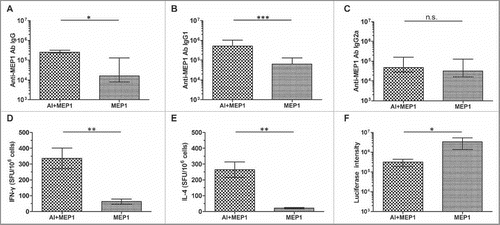 Figure 5. Comparison the immune responses and protective efficacy in BALB/c mice immunized with MEP1 in the presence or absence of alum 2 weeks after final immunization. Six to 8 week-old female BALB/c mice were intramuscularly immunized with MEP1 (with or without adjuvant alum) at a dose of 10 µg in 200 µl of PBS 3 times with 4-week interval. Two weeks after the final immunization, sera were collected and MEP1-specific IgG (A), IgG1 (B) and IgG2a (C) were measured by ELISA; and splenocytes were stimulated with pool-peptides for 48 hours to detect cellular immune response by ELISPOT assay (D&E). The immunized mice were intraperitoneally injected with the recombinant virus rTTV-lucgag (TCID50 value was 2 × 108), 3 d later, the protective efficacy was evaluated by measuring the luciferase activity of the ovary homogenate; the higher intensity stands for higher titer of virus infection (F). The value was expressed as median with interquartile range except ELISPOT. * denotes p < 0.05, ** denotes p < 0.01, *** denotes p < 0.001, and n.s. denotes no significance.