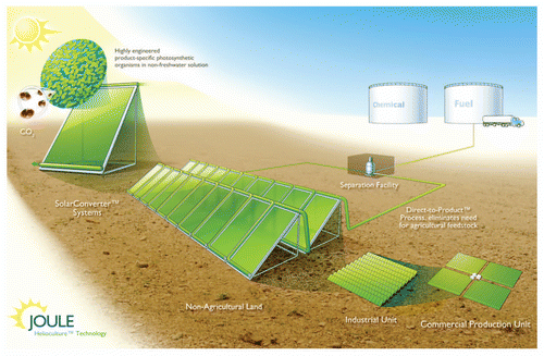 Figure 1 Schematic of Joule Unlimited Helioculture system. Proprietary organisms are engineered to convert sunlight, CO2 and non-fresh water to industrially relevant end-products. The engineered organisms are housed within a Solar Converter, which represents a single rector unit. Operational modules are constructed by interconnecting several Solar Converters. This allows for reaction condition control as well as continuous separations. Figure from www.jouleunlimited.com/why-solar-fuel/how-it-works
