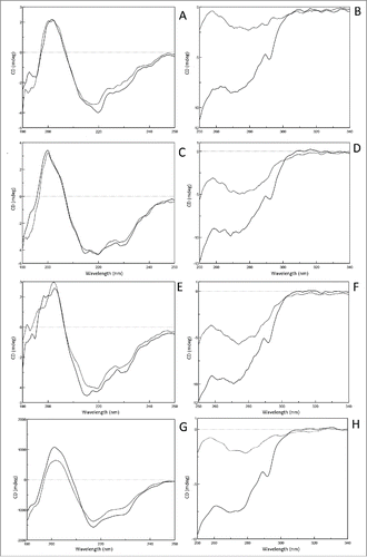 Figure 5. Near- and far-UV CD spectra of Fc monomer and aggregation recorded in PBS. Tocilizumab (A,B), panitumumab (C,D), nivoluamb (E,F) and atezolizumab Fcs (G,H) were investigated. Spectra recorded in 25 mM citrate, adjusted to pH7.0 (solid line) or their own pH threshold (dotted line).