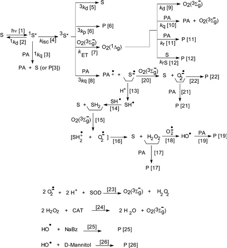 Scheme 2. Possible reaction pathways in the sensitized photoirradiation of propyl gallate and t-butylhydroquinone, and reactions of ROS with specific auxiliary quenchers. S represents the photosensitizer and PA the phenolic antioxidants.