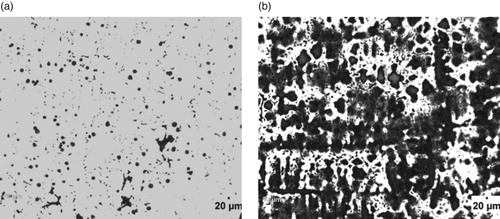 Figure 5. (a) Un-etched optical micrograph of 3.02% Al-ductile iron at 20 μm mag. (b) Etched optical micrograph of 3.02% Al-ductile iron at 20 μm mag. (2% Nital for 12 s).