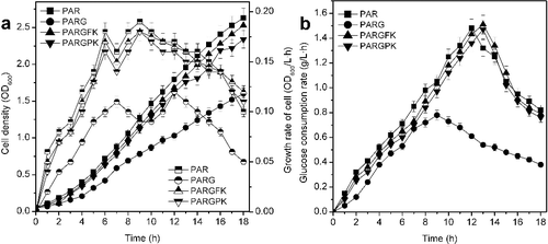 Figure 2. Effect of the plasmids pSTV-FK and pSTV-PK on cell growth (a) and glucose consumption rate (b) of ptsG mutants.