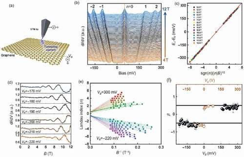 Figure 5. Local Berry phase measurement technique by scanning tunneling microscope (STM). (a) The STM setup, in which the DOS of 2D systems can be directly probed over a wide energy range. (b) Landau level spectra of monolayer graphene in various magnetic fields (4–12 T). The monolayer graphene was decoupled from its multilayer graphene substrate. The data are offset on the Y axis for clarity, and the top labels are the Landau level indices. (c) Landau level energies extracted from panel (b) versus sgn(n)(|n|B)1/2. (c) Energy-fixed DOS as functions of magnetic field for different tunneling biases VB. (d) Fan plot showing linear dependences of the Landau level indices, taken from the DOS oscillations in monolayer graphene versus 1/B for different tunneling biases. Points n, (n  1/2) are associated with the nth minima (maxima) of the DOS oscillations. The solid lines are the linear fitting results of the slope BE. Their n-axis intercepts (panel (e)) directly reflect a Berry phase of π in the monolayer graphene. Panel (e) also plots the intercepts in pristine monolayer graphene versus the back gate voltage Vg (top x-axis) [Citation56].