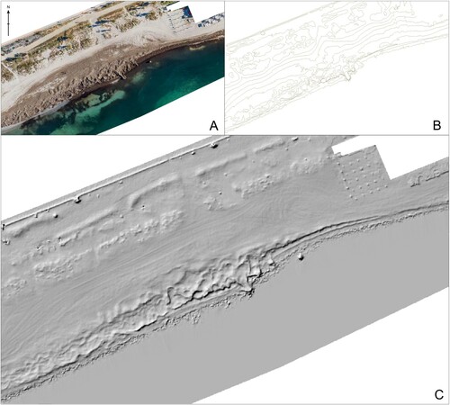 Figure 3. Example of aerial-photogrammetric survey. (A) orthophoto; (B) topographic contour line (10 cm interval); (C) Digital Terrain Model (DTM).