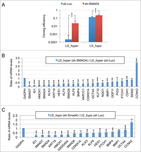 Figure 10.  