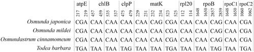 Figure 3. The internal stop codons in eight genes of Todea barbara. The numbers above the bases indicate the positions of the gene.