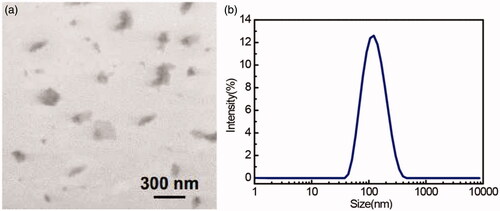 Figure 1. TEM images of rGO nanosheets (a) and DLS analysis of rGO nanosheets (b).