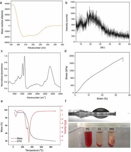 Figure 4. Characteristics of the nanofibrous membrane. (a) CD spectra. (b) WAXD pattern. (c) FITR spectra. (d) Typical stress-strain curve. (e) TG and DTG curves. (f) Water contact angle (up) and hemolysis assays (bottom). (+), (-) and (m) represent positive controls, negative controls, and nanofibrous membrane