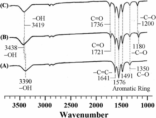 Figure 1 FTIR spectra of (A) MWNTs, (B) MWNTs-COOH, and (C) MWNTs-OH.