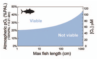 Figure 2 Model fish size maxima are shown as a function of ambient oxygen pressure for tuna shaped fish (See appendix in Sup. Material for details). The active metabolic rate in the model fish determines its high oxygen demand, which is so high that larger gill area is unable to accommodate the required supply. Therefore, there is a limit to how big predatory fish can grow in a low oxygen environment.