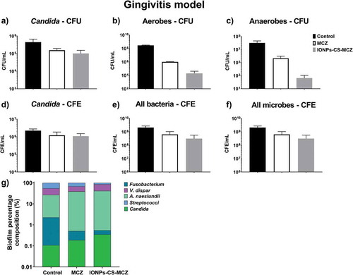 Figure 4. Results of counting of colony forming units for total Candida (A), total aerobes (B) and total anaerobes (C) in treated (MCZ only or IONPs-CS-MCZ) biofilms and untreated controls in the gingivitis model. Colony forming equivalents of viable cells of Candida (D), total bacteria (E) and total microbes (F) are also shown with biofilm percentage composition represented in panel G. The composition graph y axis has been set to log scale to allow for visualization of all microbial genus/species. Mean percentage proportions for each microorganism are shown in Table 4. Mean CFE/ml values for each organism are shown in Supplementary Table 1. Biofilms were treated anaerobically for 24 hours. Untreated biofilms were cultured under the same conditions minus drug treatment. Results shown representative of a total of 6 values (three technical replicates from two separate experiments).