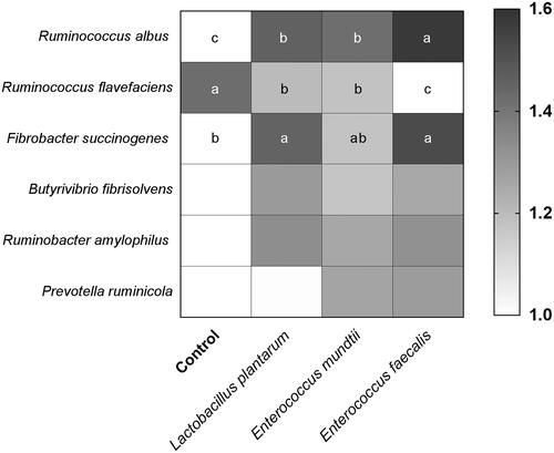 Figure 2. Relative proportion of ruminal microbes after 72 h in vitro incubation of alfalfa silage. Different letters in each row indicate significant difference (p < .05).