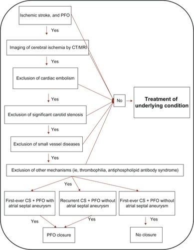 Figure 1 Clinical algorithm for a multidisciplinary decision on PFO closure, in patients with cryptogenic stroke.