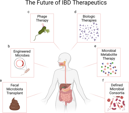 Figure 1. Opportunities for microbiome therapeutics in IBD. a. Fecal Microbiota Transplant (FMT) transplants whole microbial communities from healthy donors into IBD patients and has shown promising results particularly in the treatment of UC. b. Bacterial engineering can be used to enhance the beneficial properties of bacterial strains, including targeted delivery of therapeutic molecules, which offers important efficacy and safety advantages compared to the use of FMTs or molecules delivered systemically. c. Phage therapy or “decolonization”, currently being explored for CD and UC, selectively targets and removes specific bacteria associated with disease, without disrupting other members of the gut microbiota. d. Biologic therapies, which can induce clinical and histological healing, are the current standard of care in IBD. Lack of response, development of resistance and side effects remain challenges for some patients. e. The aberrant microbiome of IBD patients has a reduced capacity to produce metabolites that modulate intestinal homeostasis. Direct administration or modulation of the microbiome to enhance the production of such metabolites is being explored as potential therapeutics for IBD. f. Microbial consortia designed to induce specific immune responses are also being investigated as therapeutics in animal models and pioneered in human studies. Image created with BioRender.com.
