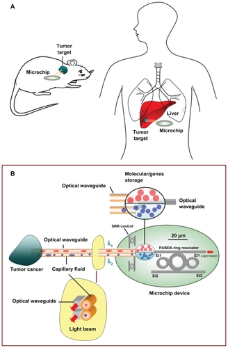 Figure 3 Schematic diagram of embedded microchip device and molecular therapeutic details.