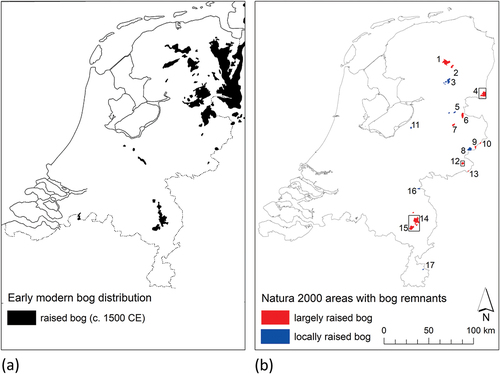 Figure 2. Map of the Netherlands indicating (a) bog distribution around 1500 CE and (b) the 17 Natura 2000 areas with bog remnants. The three case study areas of this paper are indicated with rectangles. The numbers correspond with those in Appendix 2. Peat distribution map adapted by permission from Springer Nature: Springer, climatological, stratigraphic and palaeo-ecological aspects of mire development, W. A. Casparie & J. G. Streefkerk, copyright 1992 (https://doi.org/10.1007/978-94-015-7997-1_3).