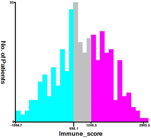 Figure 2 Cutoff values of high, medium, and low immune scores, determined by X-tile software (X-axis representing the immune score, Y-axis representing the number of patients).
