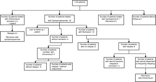 Figure 2. Response to immunosupressive treatments in children with steroid dependent or frequently relapsing nephrotic syndrome.
