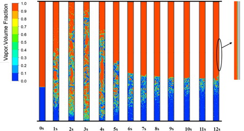 Figure 6. Contours of the vapor volume fraction calculated by the modified model.