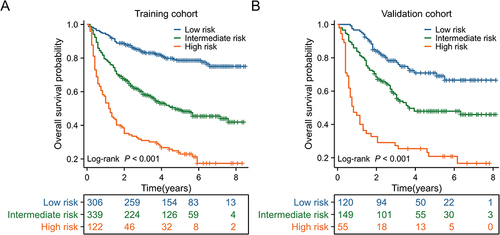 Figure 6 Survival graph for all three groups based on the predictor from the nomogram model. (A) Kaplan-Meier curve in the training cohort. (B) Kaplan-Meier curve in the validation cohort.
