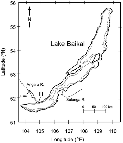 Fig. 1. Map of Lake Baikal, showing the sampling site of Hannaea baicalensis adjacent to the harbour of the Baikal Museum, near the outlet of the Angara River (‘H’). The site of the dam on the Angara River, which raised the lake level after 1959, is also marked. The depth contours are included for 500 and 1000 m.