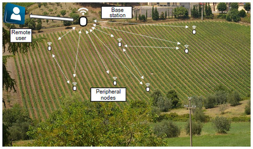 Figure 3 Wireless sensor network architecture deployed in a vineyard at Azienda Agricola Castello di Brolio, Siena, Italy.