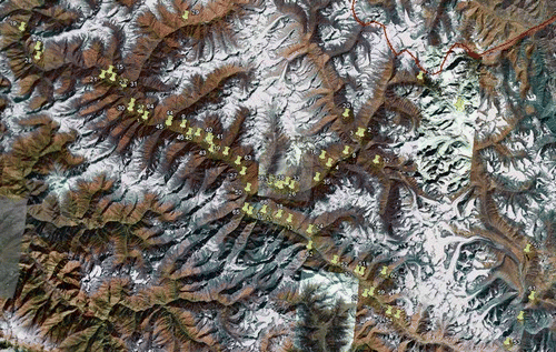 Map 1. Description of study area in Lahaul valley (sites marked from Google Earth, © 2008 Google).