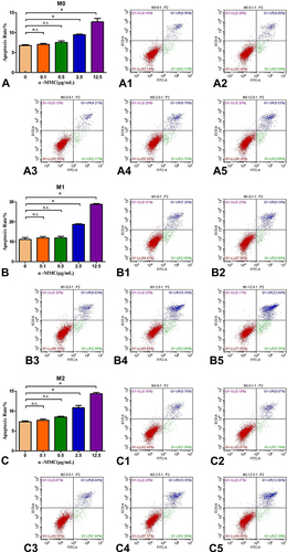 Figure 3 The early apoptosis results of M0, M1, and M2 macrophages after treatment with α-MMC for 8 h. (A) α-MMC-induced early apoptosis of M0 macrophages at the doses of 0 μg/mL, 0.1 μg/mL, 0.5 μg/mL, 2.5 μg/mL and 12.5 μg/mL; (A1–A5) An apoptosis detection chart of flow cytometry in M0 macrophages at different doses of α-MMC; (B) α-MMC-induced early apoptosis of M1 macrophages at the doses of 0 μg/mL, 0.1 μg/mL, 0.5 μg/mL, 2.5 μg/mL and 12.5 μg/mL; (B1–B5) An apoptosis detection chart of flow cytometry in M1 macrophages at different doses of α-MMC; (C) α-MMC-induced early apoptosis of M2 macrophages at the doses of 0 μg/mL, 0.1 μg/mL, 0.5 μg/mL, 2.5 μg/mL and 12.5 μg/mL; (C1–C5) An apoptosis detection chart of flow cytometry in M0 macrophages at different doses of α-MMC. The data shown are individual values with the mean ± SEM; n = 5. *P < 0.05 significantly different from the 0 μg/mL group; n.s. No significant difference from the control group. One-way analysis of variance, Tukey’s multiple comparison tests.