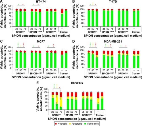 Figure 4 Viability of different cells after SPION treatment.Notes: Cells were incubated for 48 h with increasing amounts of SPIONLA, SPIONLA-HSA and SPIONDex. Cell viability was determined by annexin A5-FITC/PI staining and analyzed by flow cytometry. The amount of viable (Ax-PI−), apoptotic (Ax+PI−) and necrotic (PI+) cells are shown for (A) BT-474, (B) T-47D, (C) MCF7, (D) MDA-MB-231 and (E) HUVEC cells. Positive controls contain 2% DMSO, and negative controls represent the corresponding amount of H2O instead of water-based ferrofluid. Data are expressed as the mean ± standard deviation (n=4 with technical triplicates). Statistical significance of 48 h data sets are indicated with *P<0.05, **P<0.001 and ***P<0.0001 and were calculated via Student’s t-test analysis. Colored asterisks indicate dose-dependent significance between lowest and highest SPION concentrations on necrosis (red asterisks), apoptosis (yellow asterisks) and viability (green asterisks).Abbreviations: SPION, superparamagnetic iron oxide nanoparticles; SPIONLA, lauric acid-coated SPIONs; SPIONLA-HSA, lauric acid- and human serum albumin-coated SPIONs; SPIONDex, dextran-coated SPIONs; PI, propidium iodide; HUVECs, human umbilical vein endothelial cells; Ax–PI−, annexin V-FITC negative and Propidium iodide negative; Ax+PI−, annexin V-FITC positive and propidium iodide negative; PI+, propidium iodide positive.