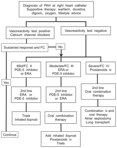 Figure 1 Outline treatment algorithm for pulmonary arterial hypertension (PAH) at a specialist center.