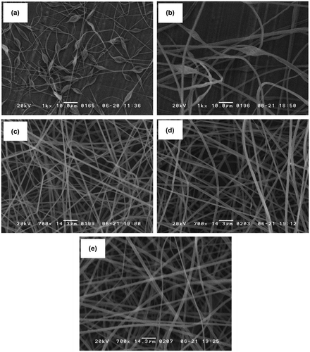 Figure 2. SEM images of PS microfibers fabricated using different concentrations of PS solution: (a) 5, (b) 10, (c) 15, (d) 20 and (e) 25 w/v%.