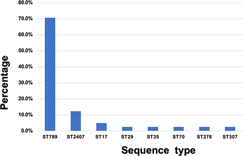 Figure 2 Sequence types of the 41 CRKP isolates.