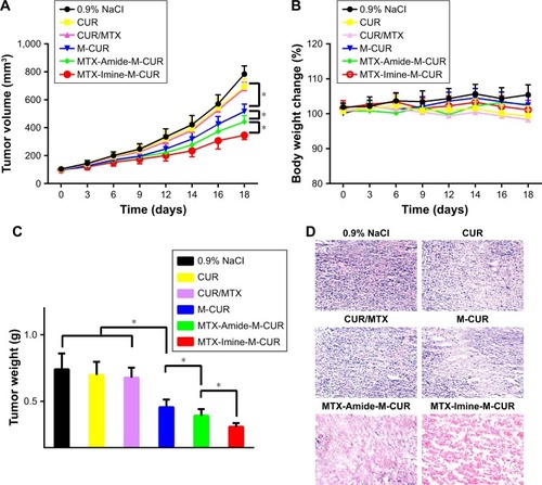 Figure 6 In vivo antitumor efficacy of HeLa tumor-bearing nude mice after intravenous injection of 0.9% NaCl, free CUR, free CUR/MTX, M-CUR, MTX-Amide-M-CUR, or MTX-Imine-M-CUR at an equivalent dose of CUR (8 mg/kg).Notes: (A) Tumor volumes changes, (B) body weight changes, (C) isolated tumor weight, and (D) representative H&E staining histologic images from the tumor tissues. Error bars indicate SD (n=5). *P<0.05.Abbreviations: CUR, curcumin; DSPE-PEG, 1,2-distearoyl-sn-glycero-3-phosphoethanolamine-N-[(polyethylene glycol)-2000]; M-CUR, MTX unconjugated DSPE-PEG assembling micellar nanoparticles loaded with CUR; MTX, methotrexate.