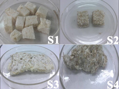 Figure 3. New absorbent based on PU and rice straw.