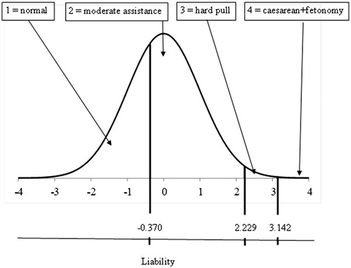 Figure 1. The underlying continuous liability scale and the discrete observed scores of calving ease.