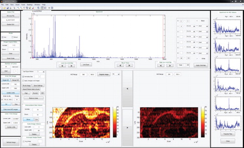 Figure 3: The interactive interface of MSI QuickView.