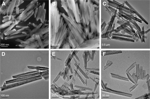 Figure 2 FESEM images of (A) HNTs and (B) HNTs–LIP. TEM images of (C, D) HNTs and (E, F) HNTs/DOX/LIP.Abbreviations: DOX, doxorubicin; FESEM, field-emission scanning electron microscopy; HNTs, halloysite nanotubes; LIP, soybean phospholipid; TEM, transmission electron microscopy.