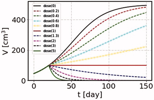 Figure 2. We take the parameters λ = 0.045/day, the terminal volume Vm = 500 cm3, and b1 = 0.045 Gy−1. We show many cases where irradiation is made continuously for 150 days with the dose per day as 0, 0.2, 0.4, 0.6, 0.8, 1, 1.3, 2, 3 and 5 Gy. For the case of the dose rate corresponding the growth rate, the cancer volume is unchanged as shown by the solid curve (dose(1)).