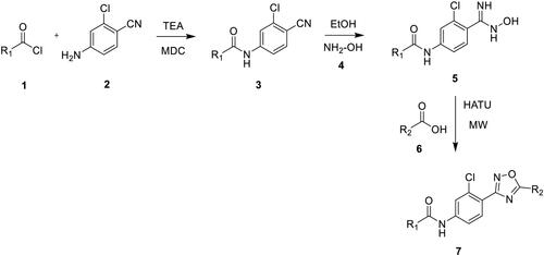 Figure 1 Synthetic pathway of 3,5-disubstituted-1,2,4-oxadiazoles (7).