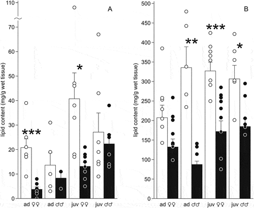 Figure 5. Lipid content (mg/g of wet tissue) in the liver (a) and fat bodies (b) of the moor frogs in autumn and after freezing to −6°C. Autumn (control) – white columns; freezing (experiment) – black columns; mean ± SEM; circles, individual data points; asterisks indicate significant differences between control and experimental group (*P < 0.05; **P < 0.01; ***P < 0.001).