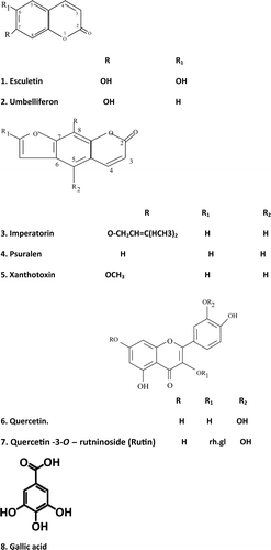 Figure 1.  The isolated compounds of C. alternifolius L.