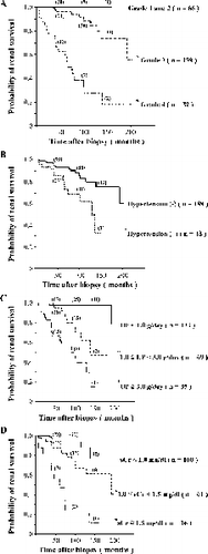Figure 1 Renal survival rates of IgA nephropathy patients stratified by histological grading (A), prescence of hypertension (B), amount of proteinuria (C) and serum creatinine level (D). * Indicates p < 0.05 by log-rank test. Numbers in parentheses indicate patients at risk at 50, 100, and 150 months.