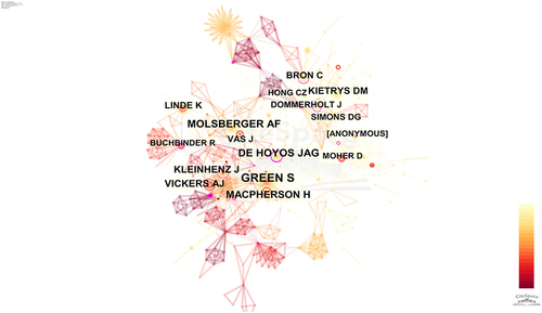 Figure 3 Network map of co-cited author between authors about acupuncture treatment for shoulder pain.