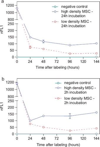 Figure 3. FACS measurements showing the nFL1 intensity of MSC (passage 5) incubated for 24 h with 100 μg Fe/mL (a) or incubated for 2 h with 200 μg Fe/mL MU-Wuest 3 (b) and then trypsinated and reseeded at high (20 000 cells/cm2) and low (5000 cells/cm2) densities. FACS measurements were done directly after incubation (0 h) and 24, 48, 96 and 144 h after particle removal and reseeding. Results represent mean ± standard deviation of triplicates. Most of the standard deviations are too small to be seen in this graph.