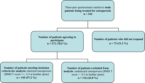 Figure 1.  Flowchart describing the study sample of male patients with osteoporosis.